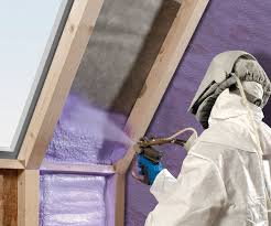 Best Eco-Friendly or Green Insulation Solutions  in Fort Calhoun, NE