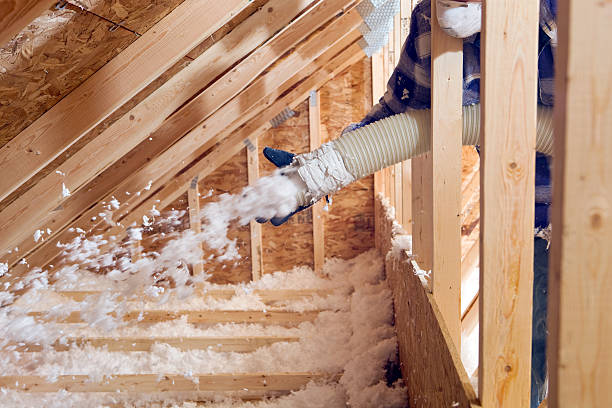 Best Batt and Roll Insulation  in Fort Calhoun, NE