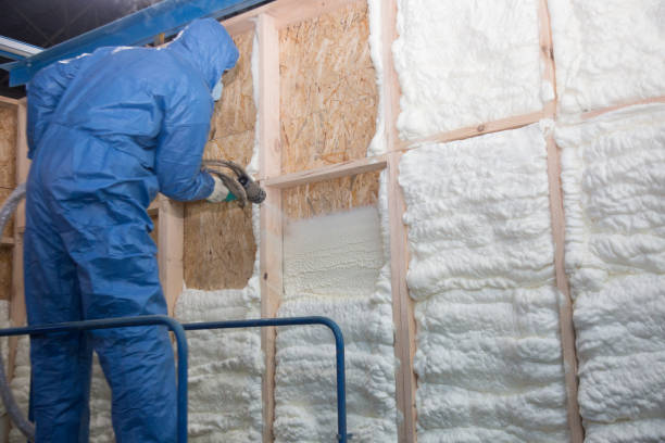 Best Blown-In Insulation  in Fort Calhoun, NE